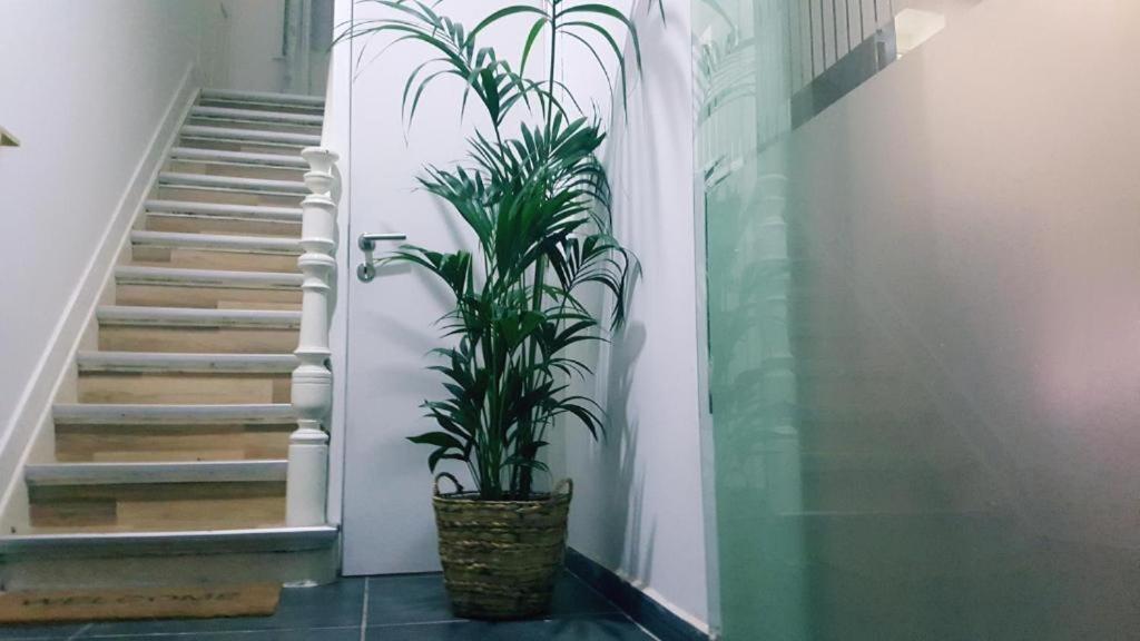 Cozy With Share The Bathroom And Kitchen Habitación en casa particular Bruselas
